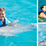 dolphin encounter dolphin