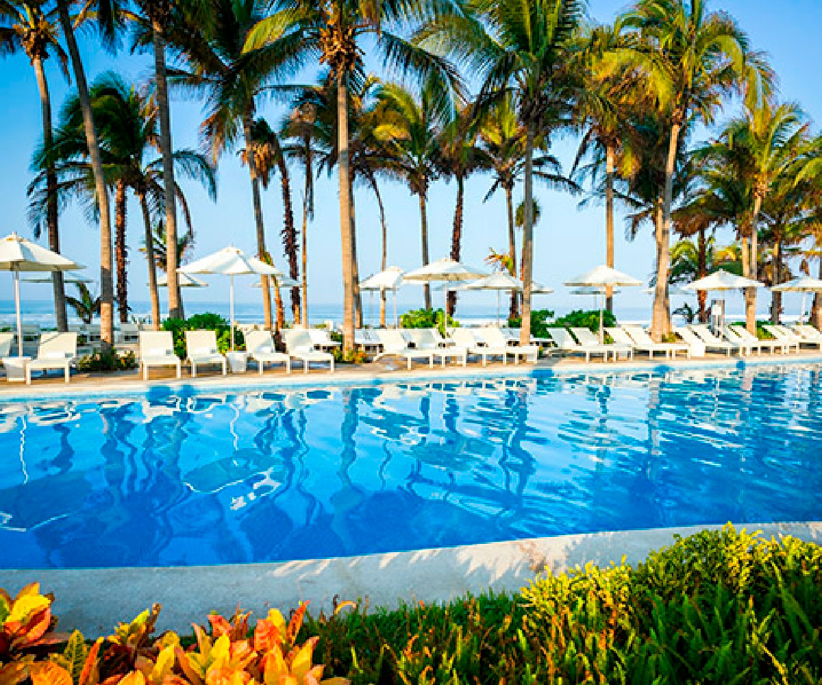 vidanta puerto penasco palm trees in the pool